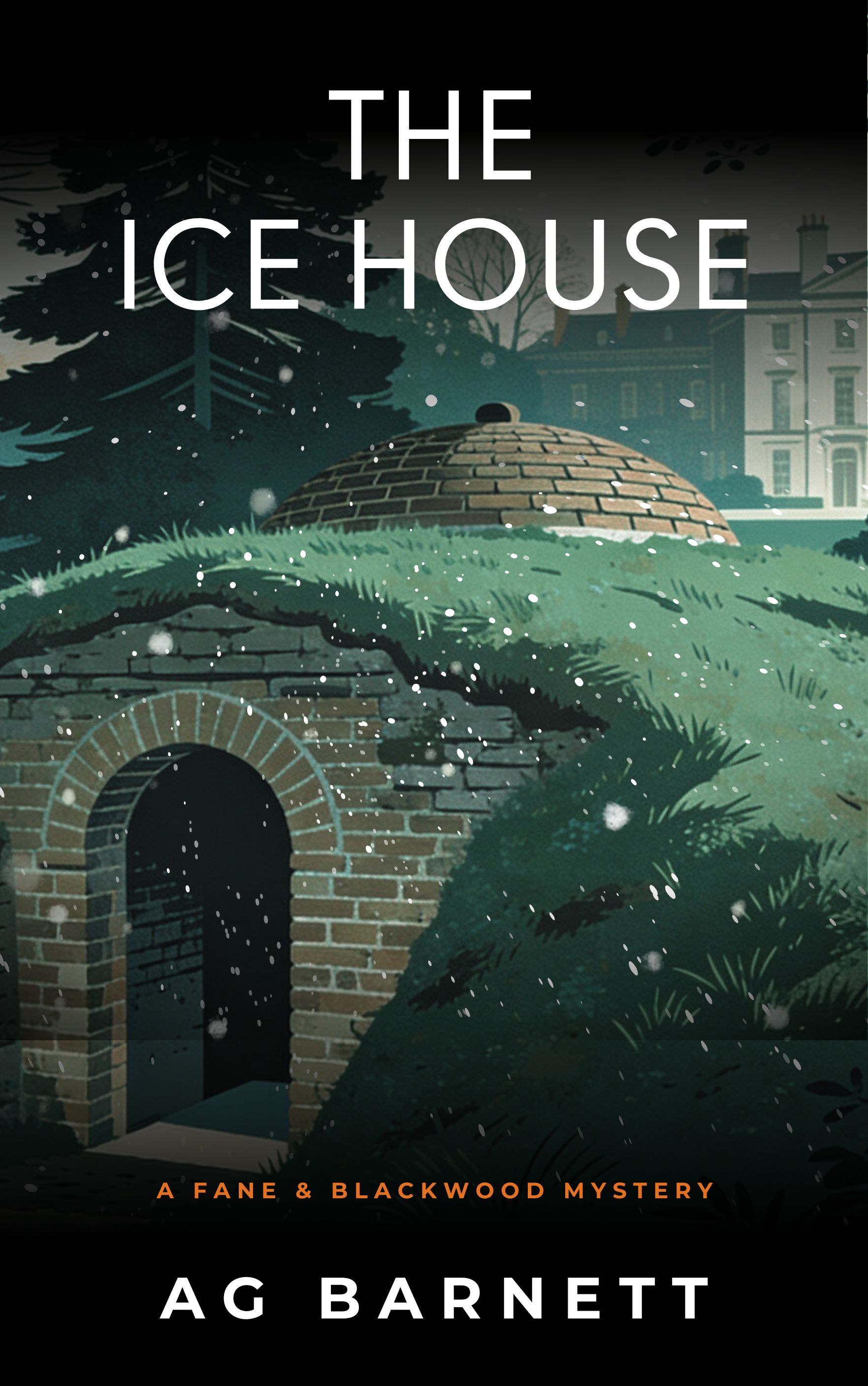 Cover of The Ice House